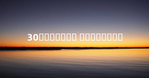 30�켱�ٱ��� ��������